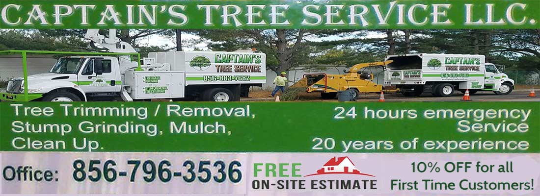 captains tree service new jersey