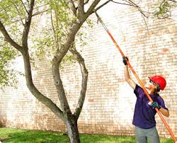 Tree Pruning