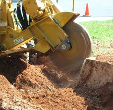 Stump Grinding